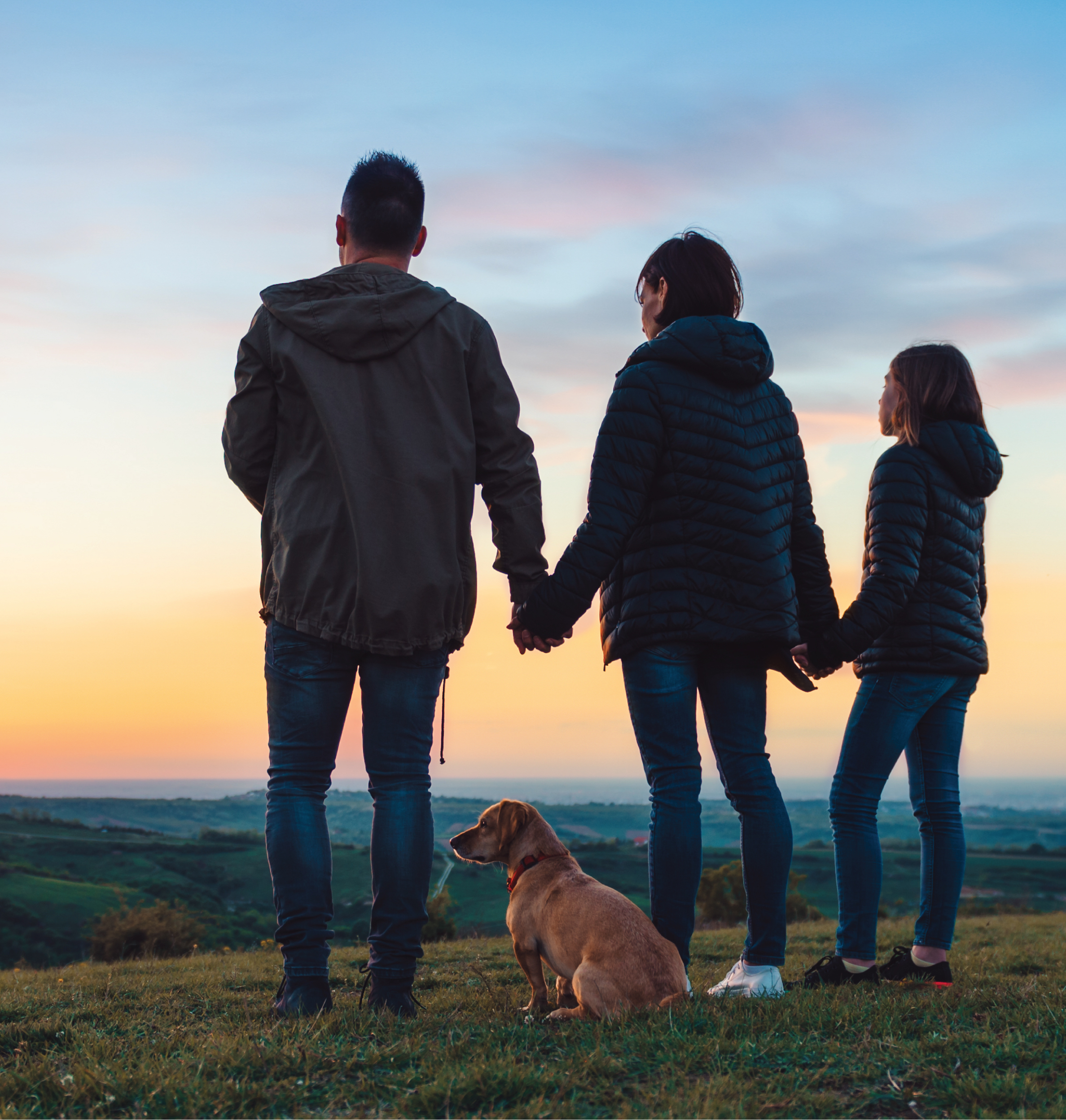 Whole life Insurance Image