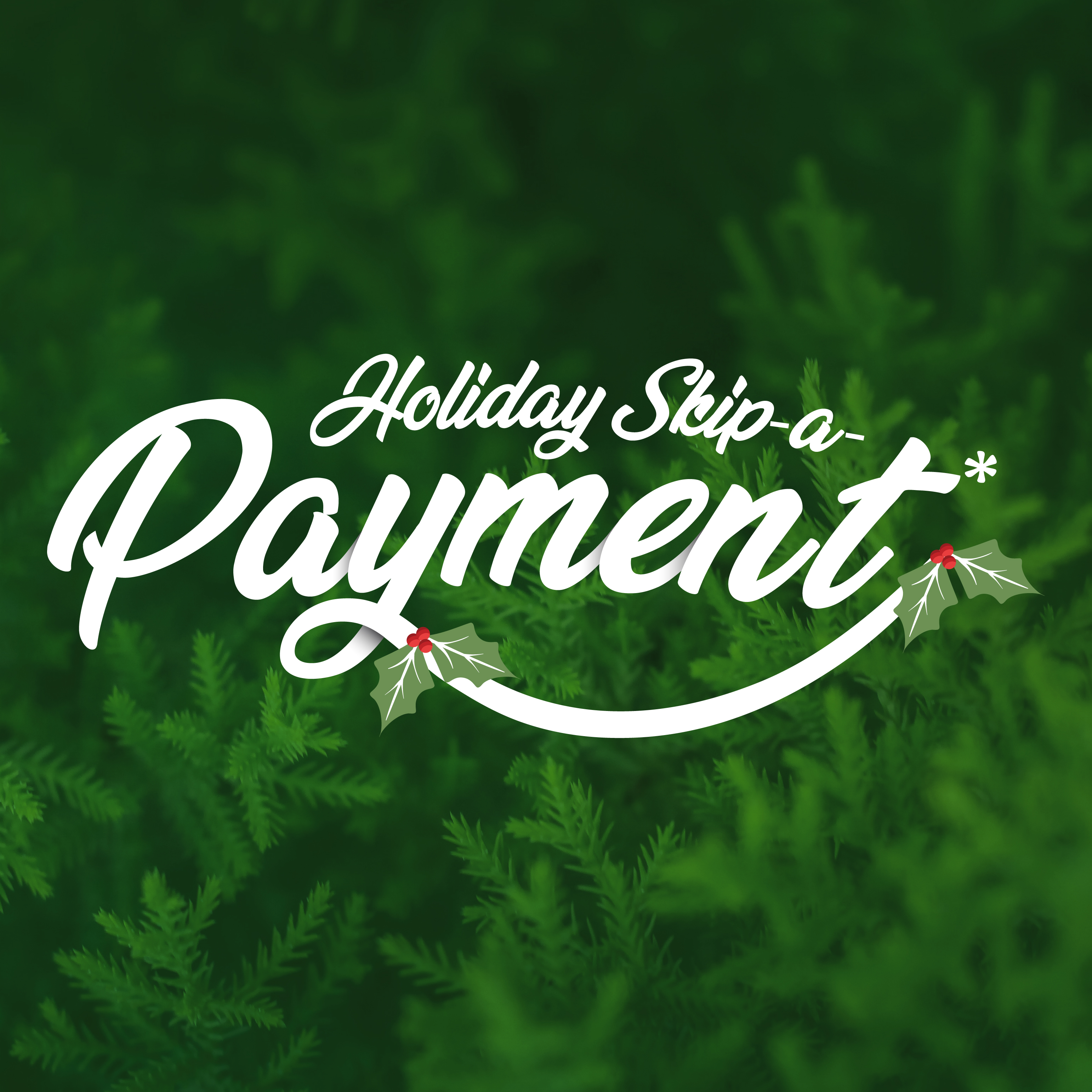 Skip a payment image